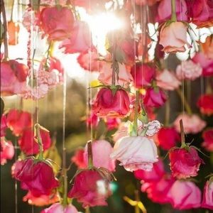 Meet your Posher, Elma